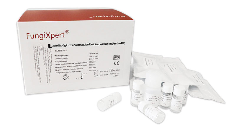 Proba molecular de Aspergillus, Cryptococcus Neoformans, Candida Albicans (PCR en tempo real)