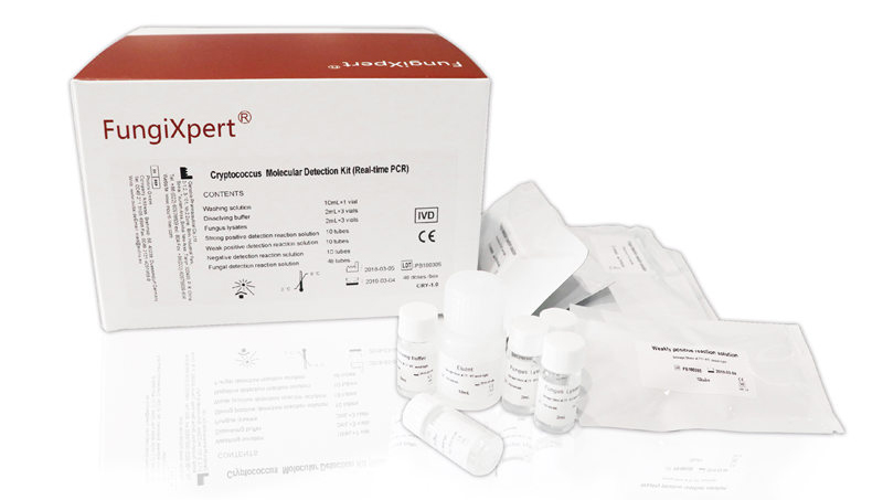 05 Kit de detección molecular de Cryptococcus (PCR en tiempo real)