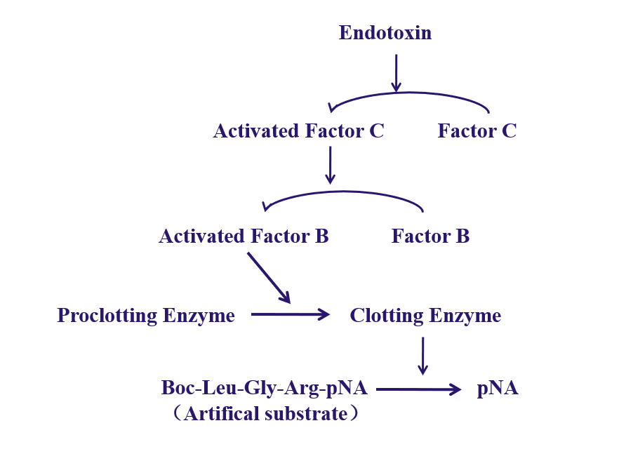 Bakterie-endotoksienopsporingstel (chromogeniese metode) 1
