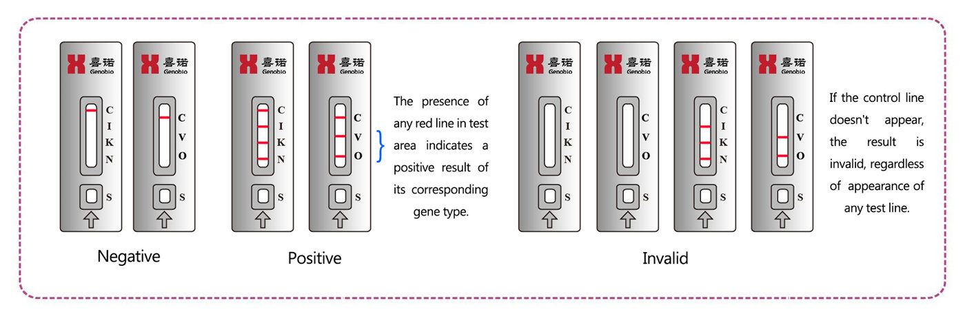 Carbapenem-resistant K.N.I.V.O. Detection K-Set (Lateral Flow Assay) 3