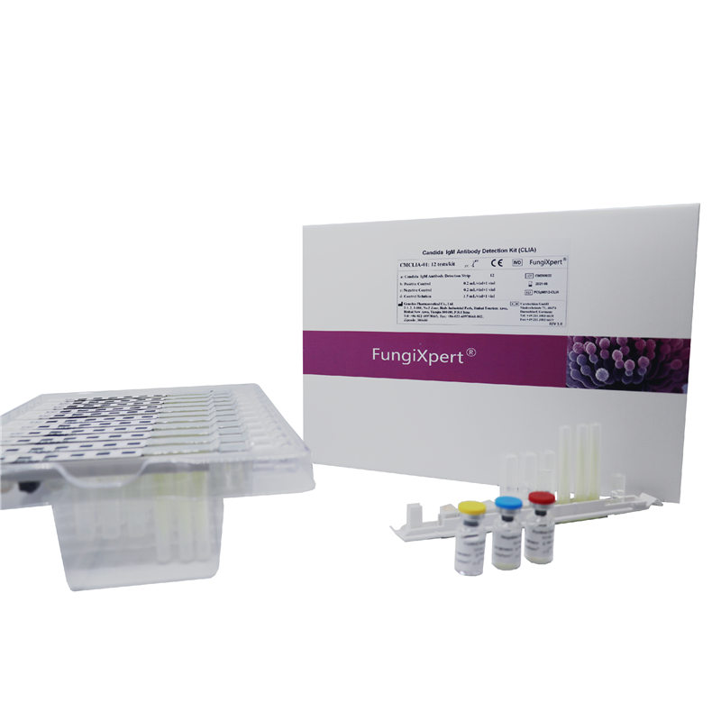 CE Certification High Quality COVID19 IgG IgM antibodies Candida IgM
