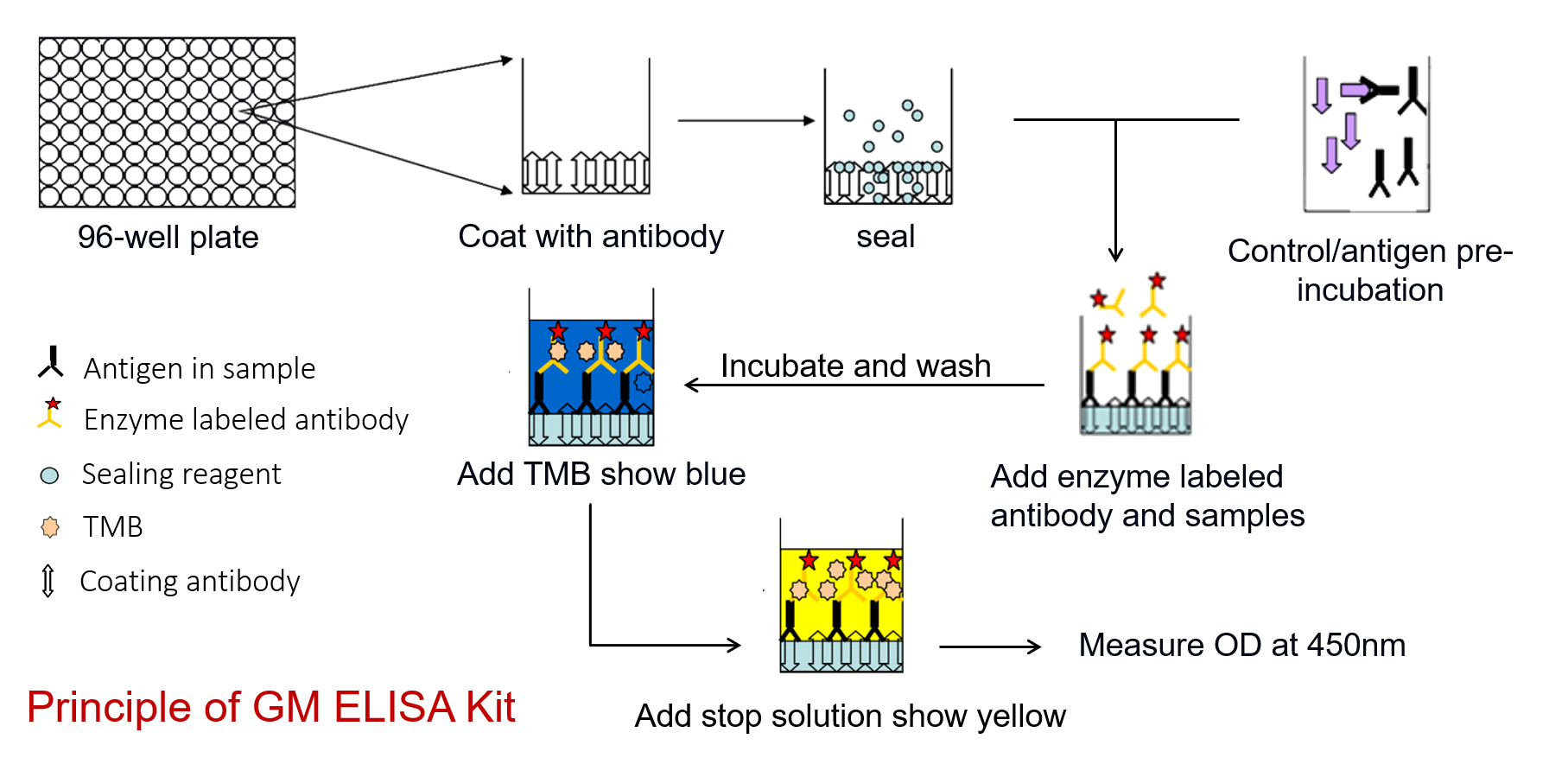 Aspergillus Galactomannan ELISA Detection Kit 1