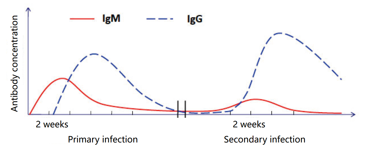 Aspergillus IgM Antibody Detection K-Set (Lateral Flow Assay) 1